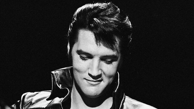 I titolari dei diritti dei brani di Elvis Presley citano Anthropic per oltre 48,6 milioni di dollari